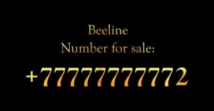 Como comprar um belo número beeline