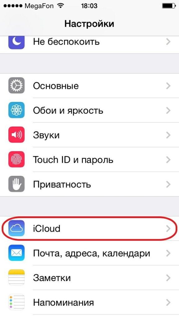 1397553675_settings - เลือก -icloud-577x1024