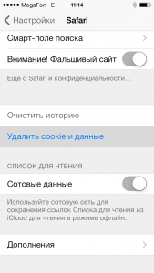 Очистка данных в Safari на iPhine