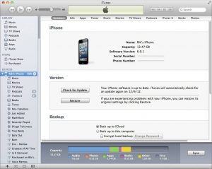 itunes_10_iphone1