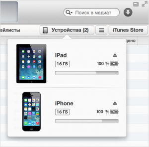 Appareils iTunes