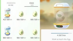 Eggs в Pokemon Go