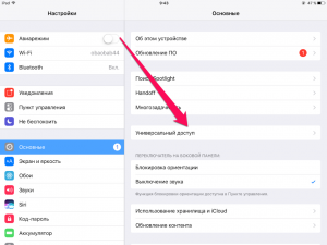 "Универсальный доступ" на iPhone