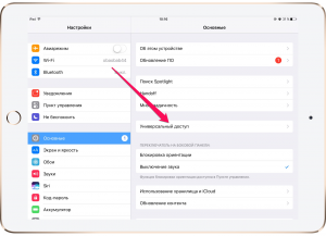 Настройки универсального доступа на Айфоне