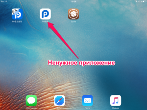 Removing PP Store with iPhone