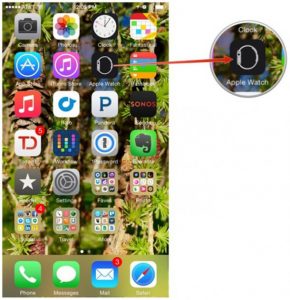 Apple Watch sur iPhone