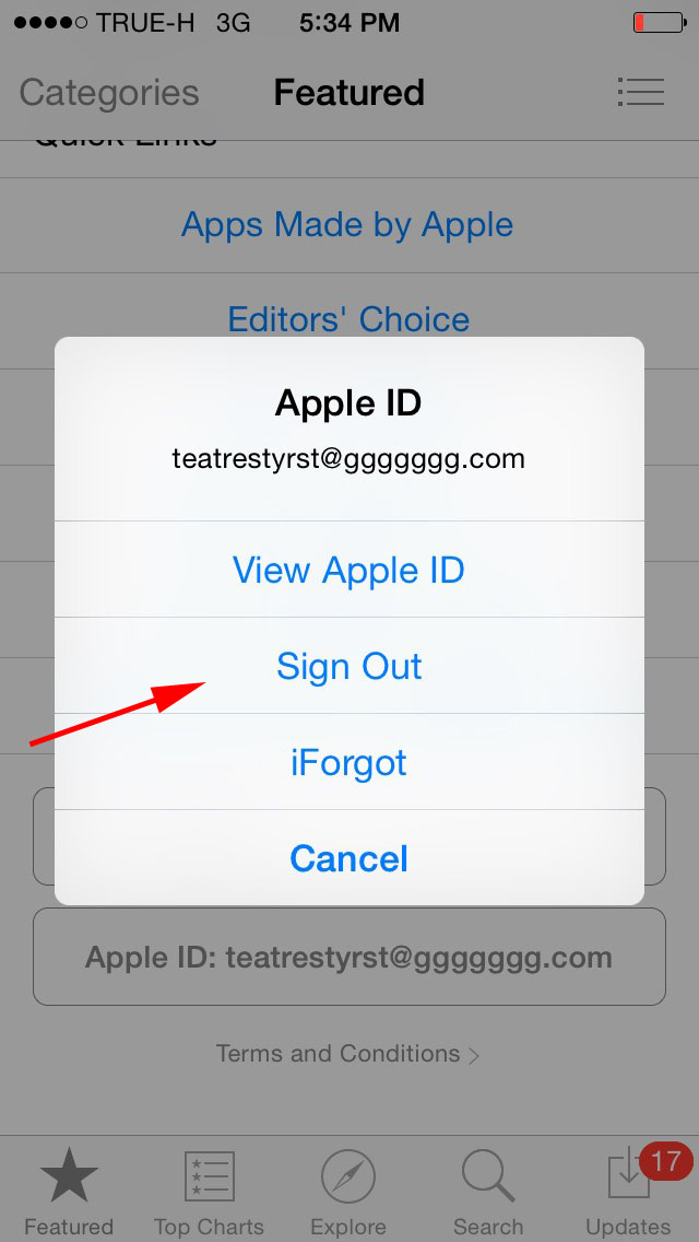 Привязка apple id. Что такое Apple ID на айфоне 7. Дополните Apple ID на айфоне 11. Учетная запись Apple ID. Apple ID скрин.