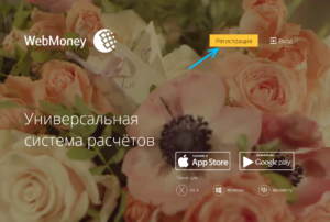 چگونه برای ثبت نام در WebMoney و نحوه ایجاد یک کیف پول؟