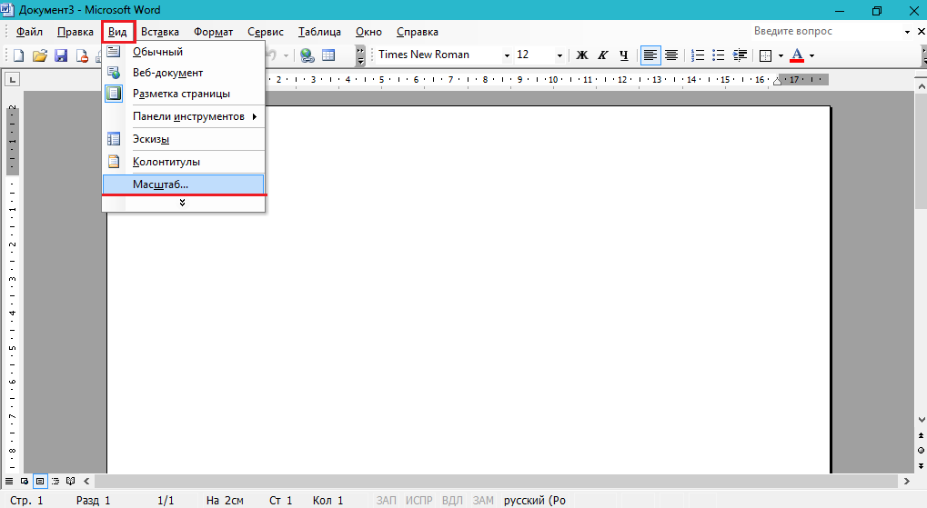 Рисунок 1. Как увеличить или уменьшить масштаб страницы в текстовых редакторах Microsoft Word и Exel?
