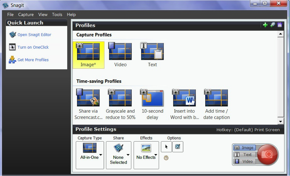 Şekil 2. Bir bilgisayar ve dizüstü bilgisayar ekranından videoları kaydetmek için en iyi 5 program: Snagit