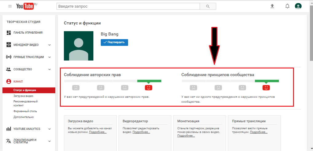 Figura 8. Come lavorare con il tuo canale su YouTube?