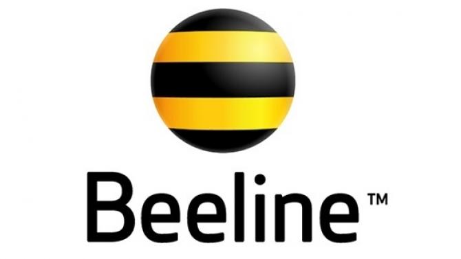 6. Beeline konfiguratsiya parametrlari.