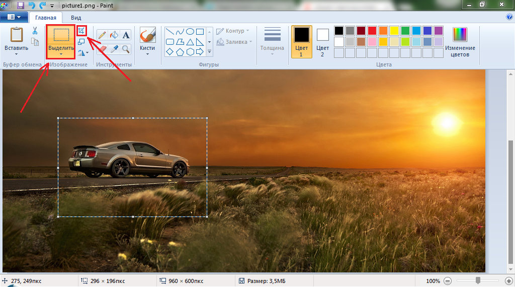 Изображение 6. Выделение и обрезка рисунка.