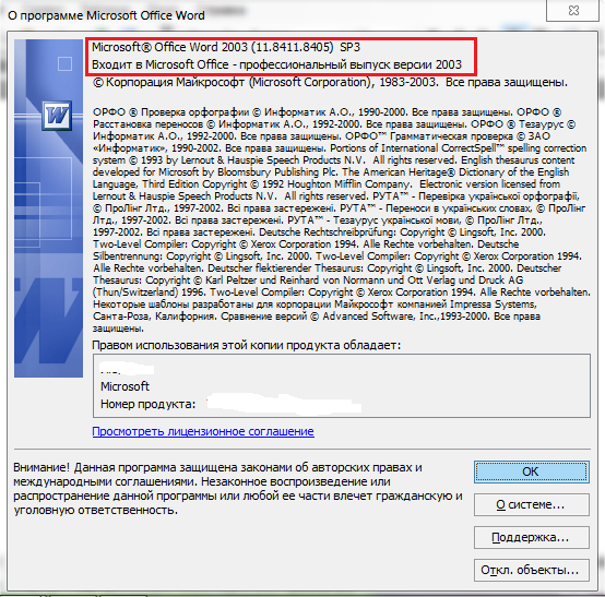 Bild 5. Visa information om programmet i Microsoft Word 2003.